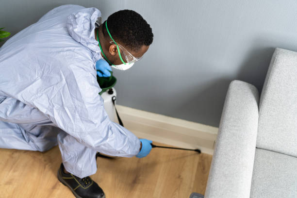 Best Pest Prevention Services  in Jerseyvle, IL